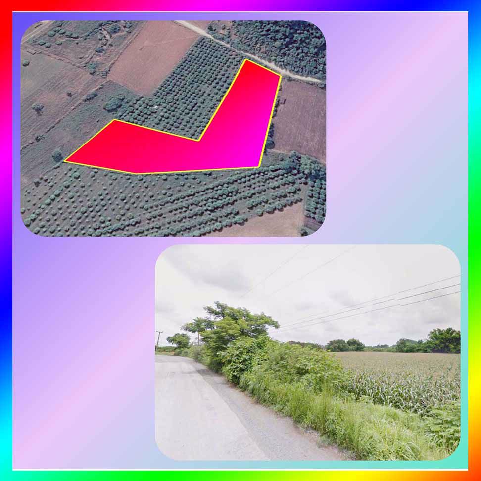 ขายที่ดินแปลงสวย-12-ไร่เศษ-ติดถนนลาดยางอย่างดี-บรรยากาศธรรมชาติ-ใกล้เนินเขา-แก่งคอย-สระบุรี