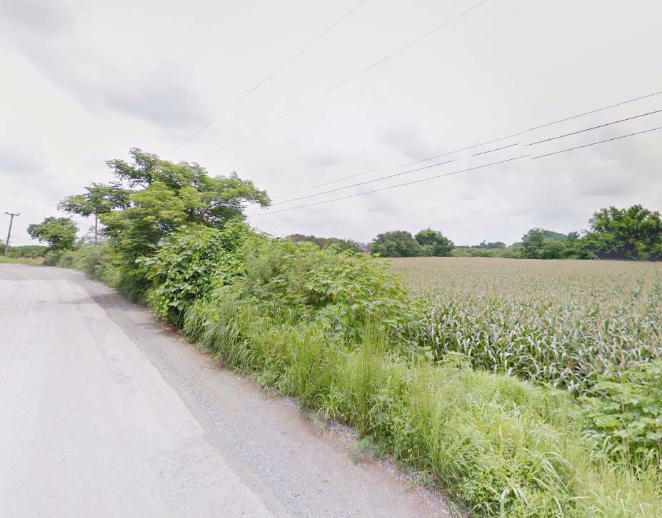 ขายที่ดินแปลงสวย-12-ไร่เศษ-ติดถนนลาดยางอย่างดี-บรรยากาศธรรมชาติ-ใกล้เนินเขา-แก่งคอย-สระบุรี