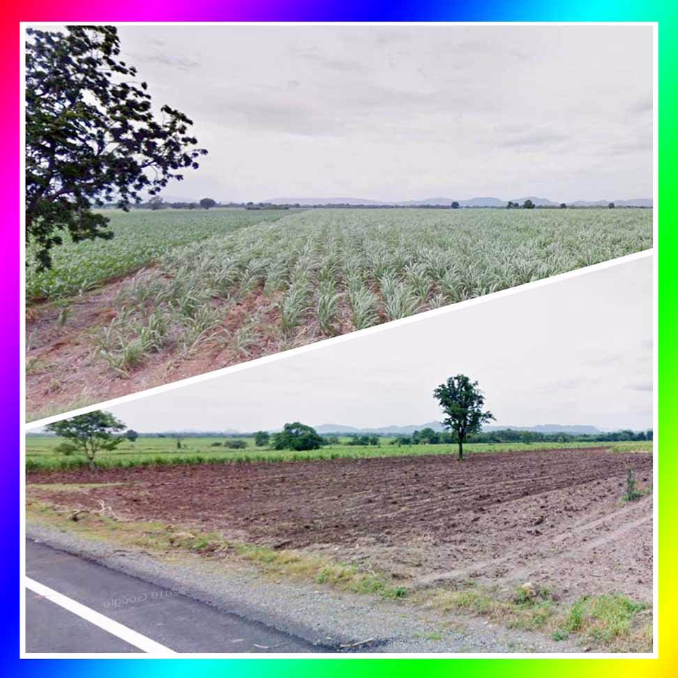 ขายที่ดินราคาถูก-24-ไร่-ใกล้ซอย-12-ฝั่งขาขึ้นไปเพชรบูรณ์-เหมาะสร้างโกดัง-พัฒนานิคม-ลพบุรี