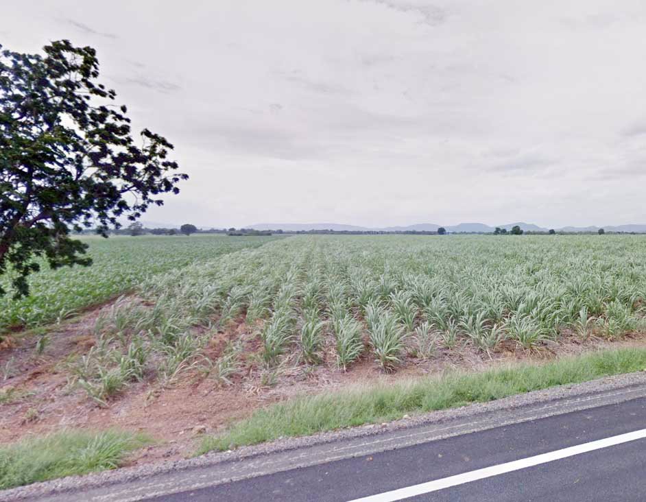 ขายที่ดินราคาถูก-24-ไร่-ใกล้ซอย-12-ฝั่งขาขึ้นไปเพชรบูรณ์-เหมาะสร้างโกดัง-พัฒนานิคม-ลพบุรี