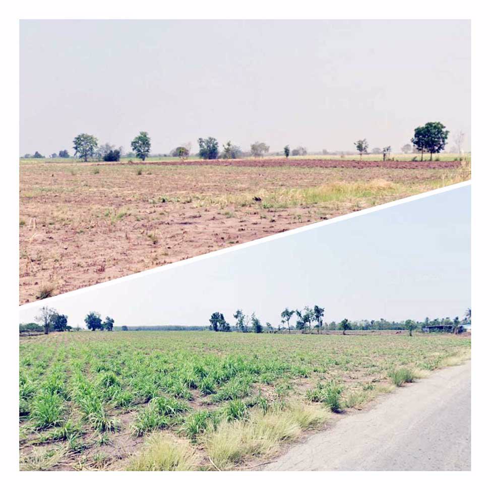 ขายที่ดินทำฟาร์มกว่า-100-ไร่-พุขาม-วิเชียรบุรี-เพชรบูรณ์-เหมาะทำฟาร์มหมู-เหมาะซื้อเก็งกำไร