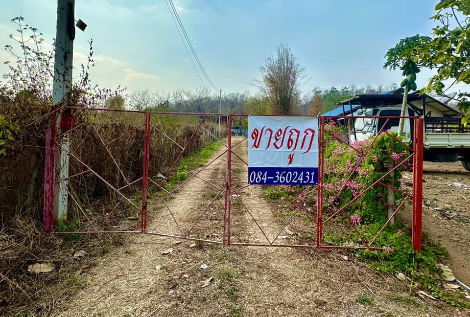 ขายด่วน-บ้านสวนรีสอร์ท-ปากช่องเขาใหญ่