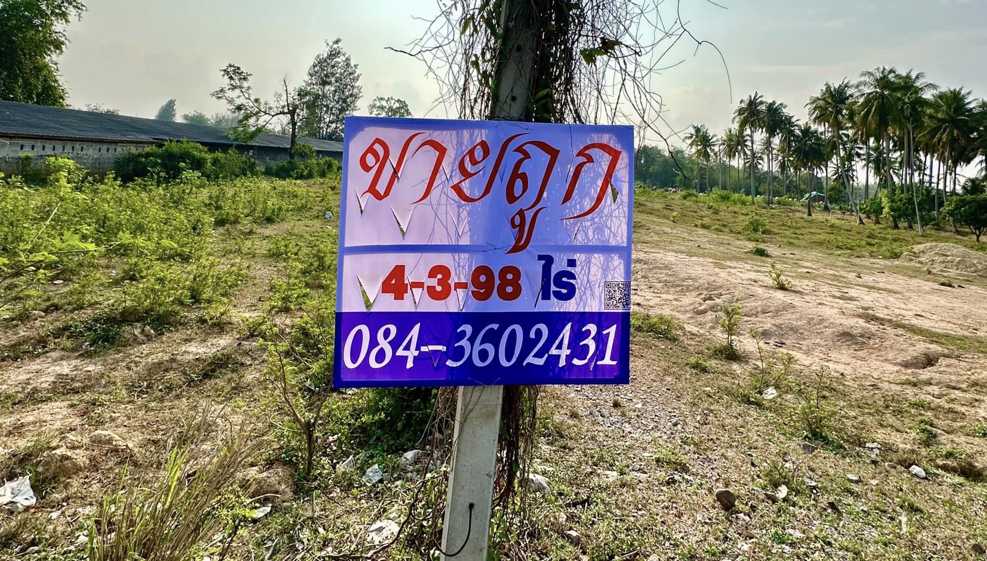 ขายด่วน-ที่ดินหัวหิน-ประจวบ