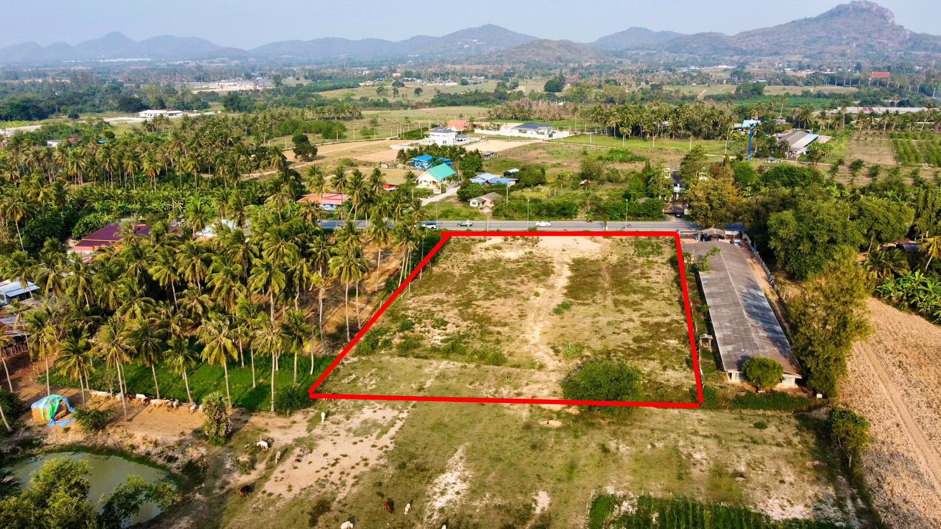 ขายด่วน-ที่ดินหัวหิน-ประจวบ