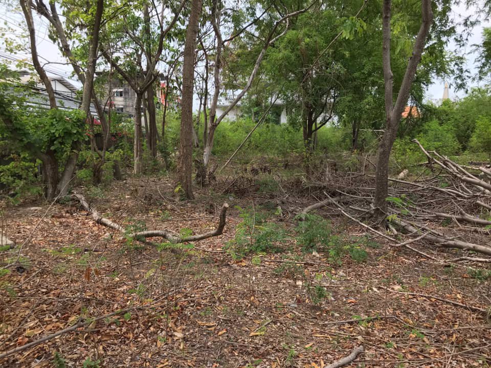 ที่ดินให้เช่า-ถสุขสวัสดิ์-อพระประแดง-ทำเลดีมาก-1-2-ไร่-เหมาะสำหรับทำคลังสินค้า-ฯ