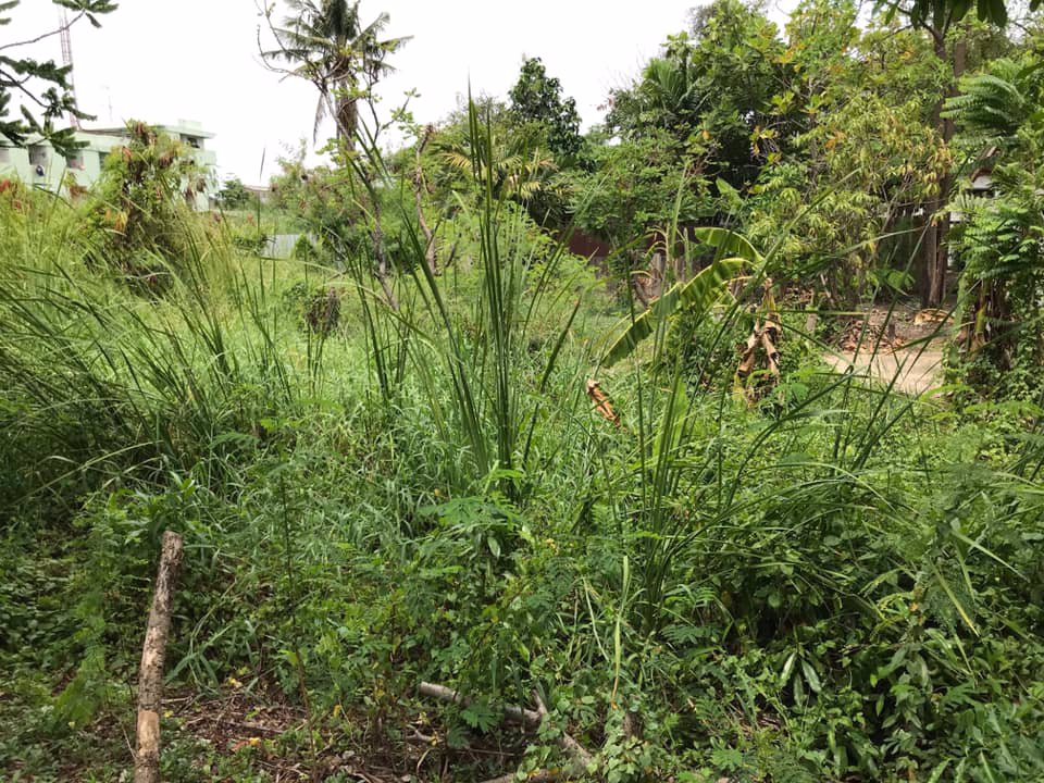 ที่ดินให้เช่า-ถสุขสวัสดิ์-อพระประแดง-ทำเลดีมาก-1-2-ไร่-เหมาะสำหรับทำคลังสินค้า-ฯ