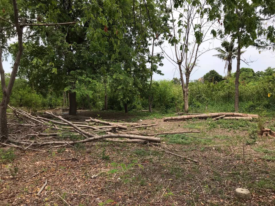 ที่ดินให้เช่า-ถสุขสวัสดิ์-อพระประแดง-ทำเลดีมาก-1-2-ไร่-เหมาะสำหรับทำคลังสินค้า-ฯ