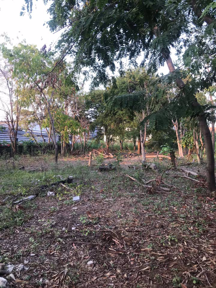 ที่ดินให้เช่า-ถสุขสวัสดิ์-อพระประแดง-ทำเลดีมาก-1-2-ไร่-เหมาะสำหรับทำคลังสินค้า-ฯ