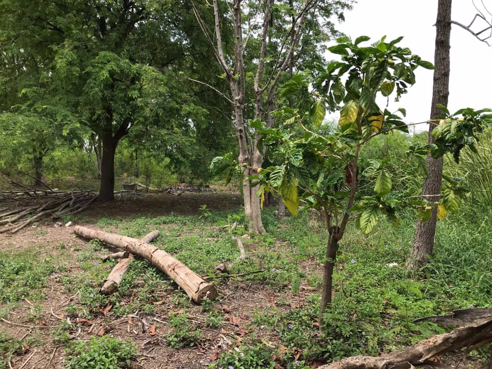 ที่ดินให้เช่า-ถสุขสวัสดิ์-อพระประแดง-ทำเลดีมาก-1-2-ไร่-เหมาะสำหรับทำคลังสินค้า-ฯ