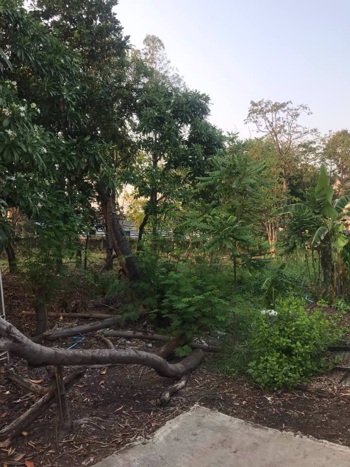 ที่ดินให้เช่า-ถสุขสวัสดิ์-อพระประแดง-ทำเลดีมาก-1-2-ไร่-เหมาะสำหรับทำคลังสินค้า-ฯ