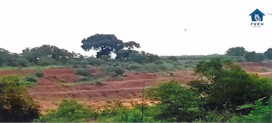 ขายที่ดิน-35-ไร่-ปากช่อง-นครราชสีมา-ใกล้ชุมชน