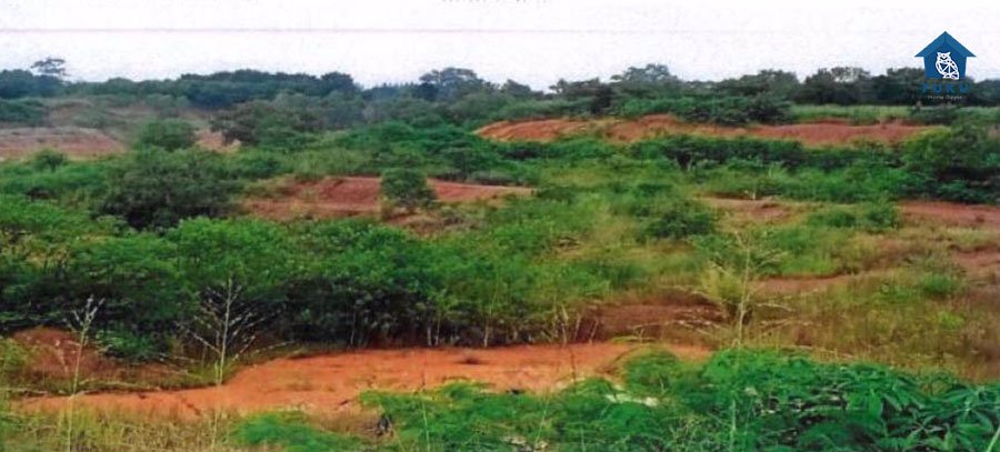 ขายที่ดิน-35-ไร่-ปากช่อง-นครราชสีมา-ใกล้ชุมชน