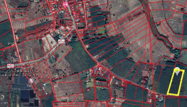 ขาย-ที่ดิน-สวนยาง-ตโซ่-โซ่พิสัย-บึงกาฬ-10-ไร่