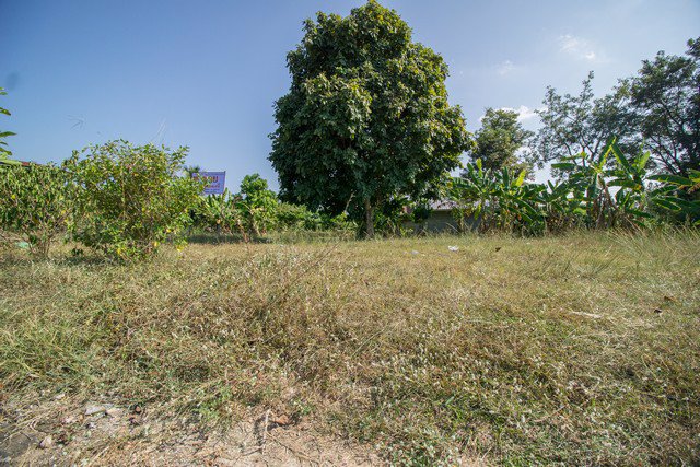 ขาย-ที่ดิน-ถมแล้ว-บ้านโนนชาด-ตโซ่-โซ่พิสัย-บึงกาฬ-เนื้อที่-326-ตรว