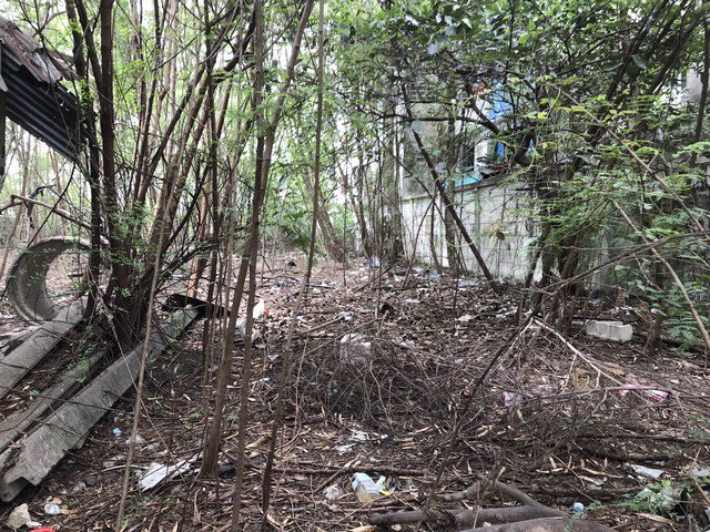 ขาย-ที่ดิน-วัดด่านสำโรง-28-จสมุทรปราการ-1-ไร่-157-ตรว-ถมแล้ว