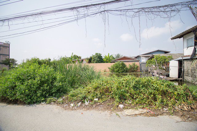 ขาย-ที่ดิน-ประชาอุทิศ-90-ตในคลองบางปลากด-จสุมทรปราการ-ราคาถูกมาก