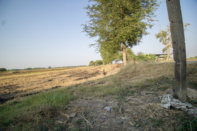 ขาย-ที่ดิน-ตบางโพธิ์เหนือ-สามโคก-ปทุมธานี-ราคาถูกมาก