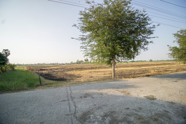 ขาย-ที่ดิน-ตบางโพธิ์เหนือ-สามโคก-ปทุมธานี-ราคาถูกมาก