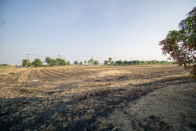 ขาย-ที่ดิน-ตบางโพธิ์เหนือ-สามโคก-ปทุมธานี-ราคาถูกมาก