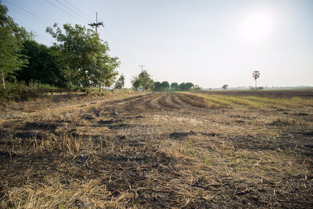 ขาย-ที่ดิน-ตบางโพธิ์เหนือ-สามโคก-ปทุมธานี-ราคาถูกมาก