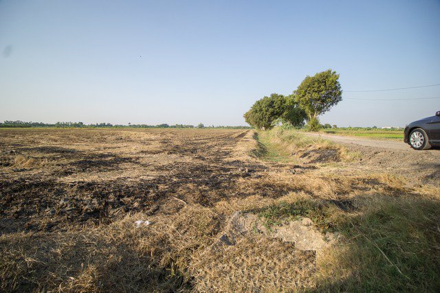 ขาย-ที่ดิน-ตบางโพธิ์เหนือ-สามโคก-ปทุมธานี-ราคาถูกมาก