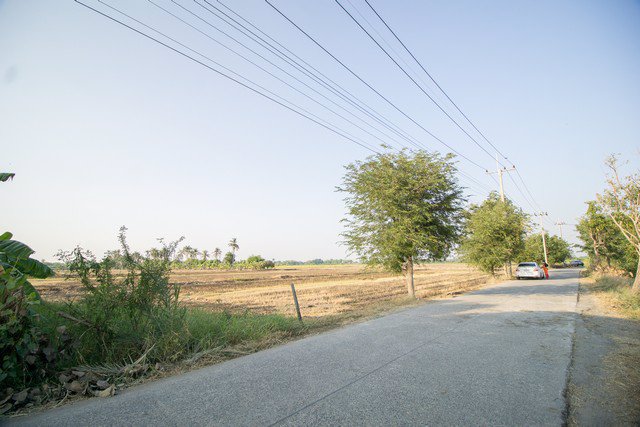 ขาย-ที่ดิน-ตบางโพธิ์เหนือ-สามโคก-ปทุมธานี-ราคาถูกมาก