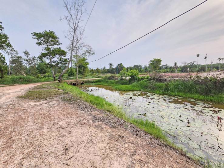 ขายสวนทุเรียน-บ้านทุ่งสน-ตำบลรำพัน-อำเภอท่าใหม่-จันทบุรี