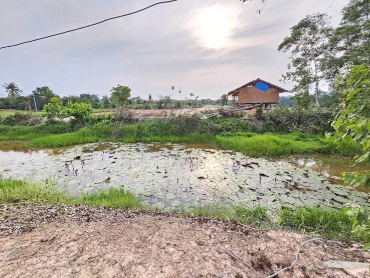 ขายสวนทุเรียน-บ้านทุ่งสน-ตำบลรำพัน-อำเภอท่าใหม่-จันทบุรี