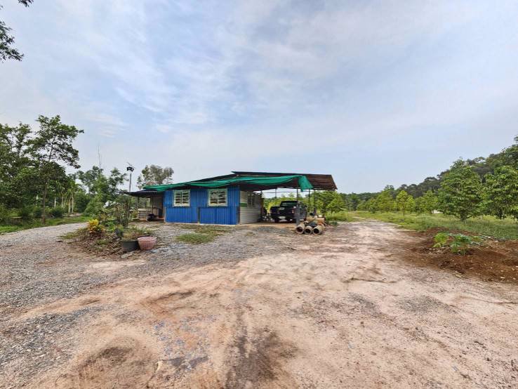 ขายสวนทุเรียน-บ้านทุ่งสน-ตำบลรำพัน-อำเภอท่าใหม่-จันทบุรี