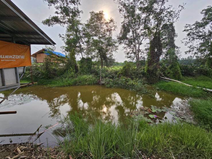 ขายสวนทุเรียน-บ้านทุ่งสน-ตำบลรำพัน-อำเภอท่าใหม่-จันทบุรี