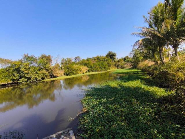 ขายที่ดินพร้อมสวนมะพร้าว-บ้านโสกน้ำขาว-ตหนองไฮ-อำเภอเมืองอุดรธานี