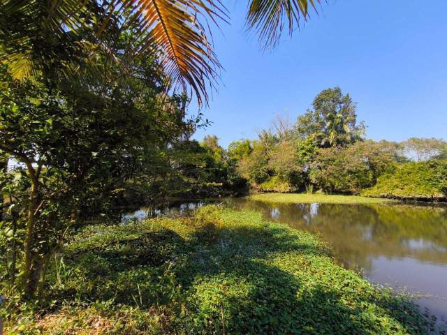 ขายที่ดินพร้อมสวนมะพร้าว-บ้านโสกน้ำขาว-ตหนองไฮ-อำเภอเมืองอุดรธานี