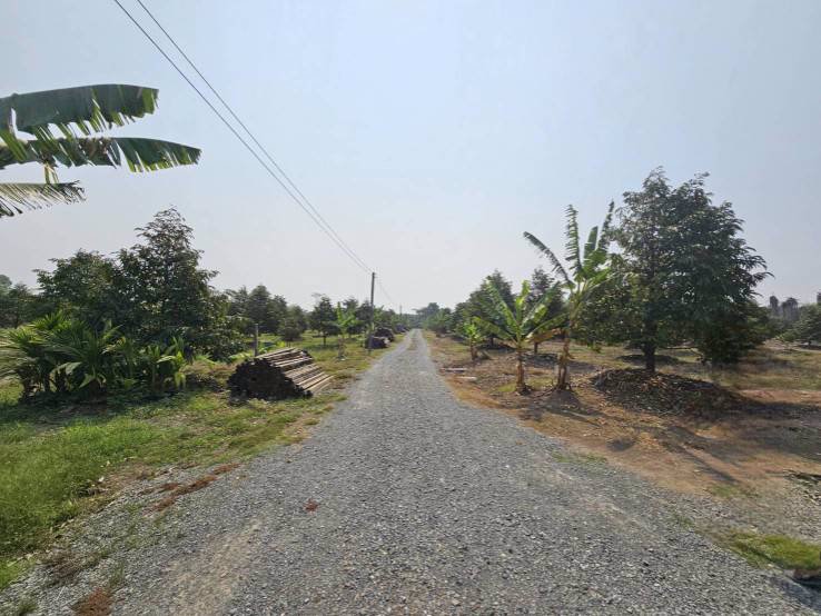 ขายสวนทุเรียน-มะพร้าวน้ำหอม-พร้อมบ้านพักคนงาน-เขาบายศรี-อำเภอท่าใหม่-จันทบุรี