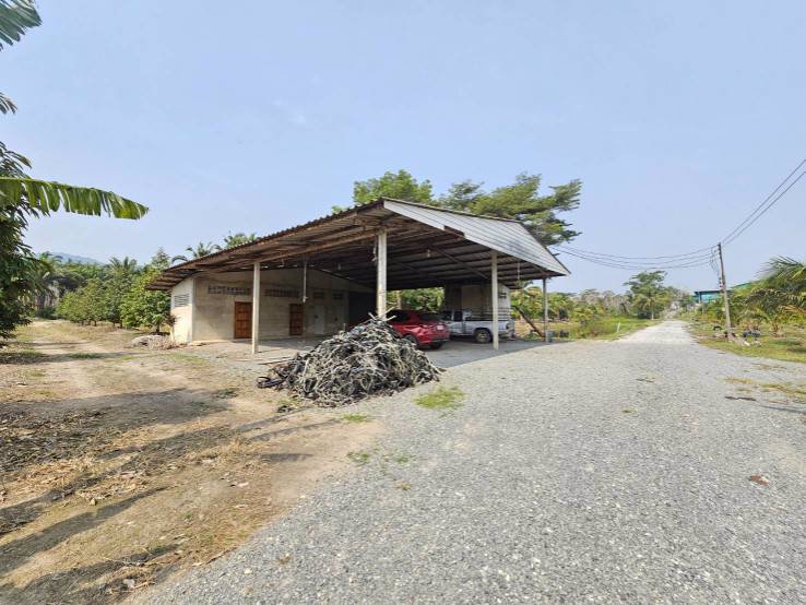 ขายสวนทุเรียน-มะพร้าวน้ำหอม-พร้อมบ้านพักคนงาน-เขาบายศรี-อำเภอท่าใหม่-จันทบุรี