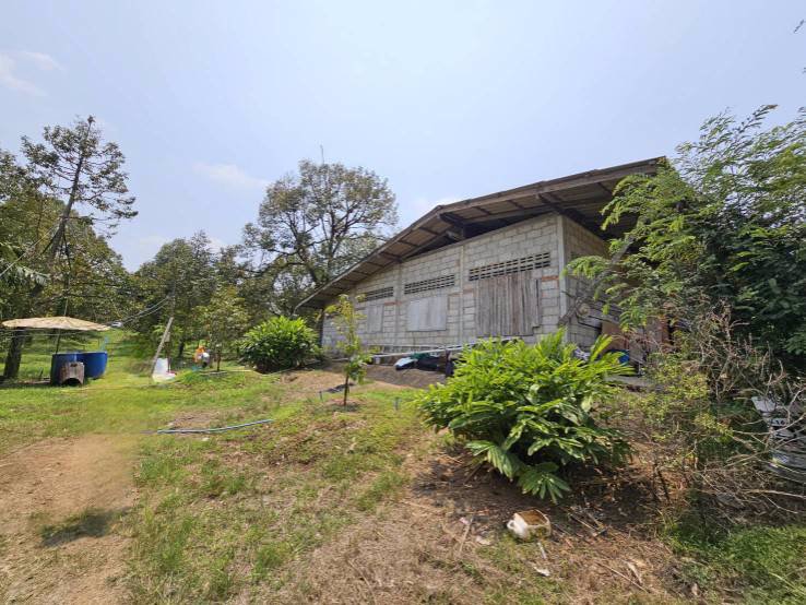 ขายสวนทุเรียน-เขาสุกิม-เนินมะหาด-ตำบลเขาบายศรี-อำเภอท่าใหม่-จันทบุรี