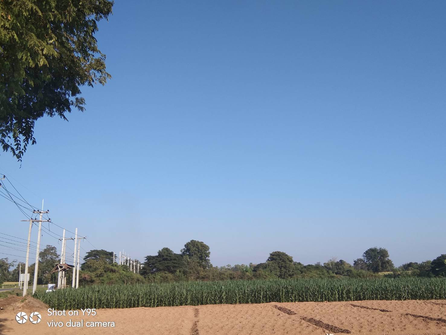 ขายที่ดิน-29ไร่-ติดถนนใหญ่-ใกล้อบตนาทุ่ง-สวรรคโลก-สุโขทัย