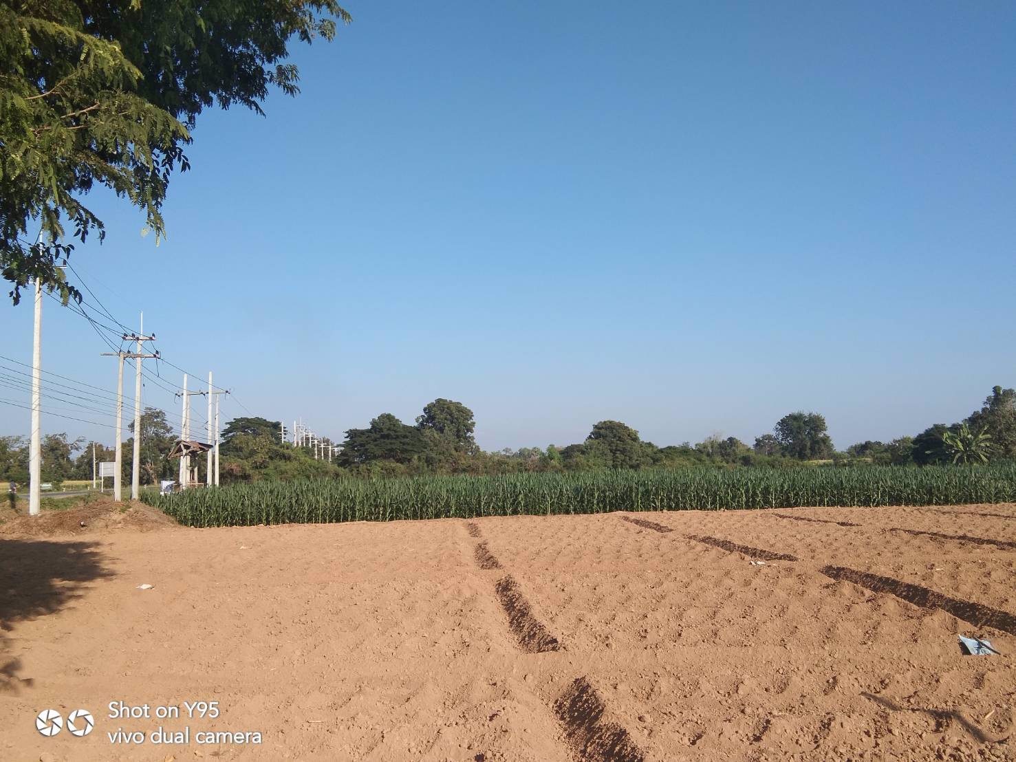 ขายที่ดิน-29ไร่-ติดถนนใหญ่-ใกล้อบตนาทุ่ง-สวรรคโลก-สุโขทัย