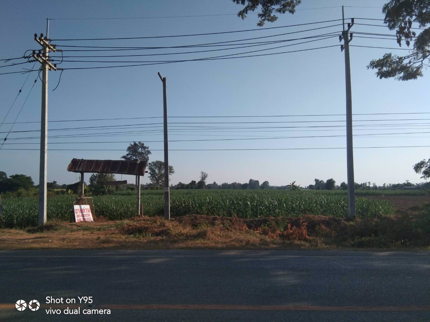 ขายที่ดิน-29ไร่-ติดถนนใหญ่-ใกล้อบตนาทุ่ง-สวรรคโลก-สุโขทัย