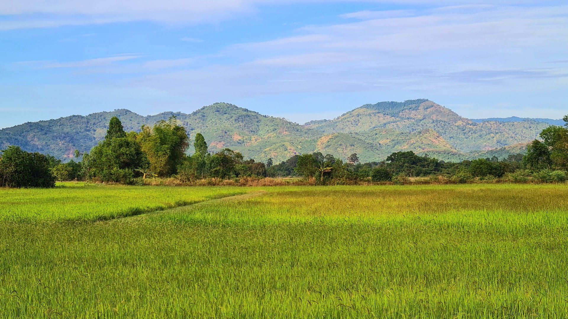 de'privacy-banphrao-เดอไพรเวซี่-บ้านพร้าว