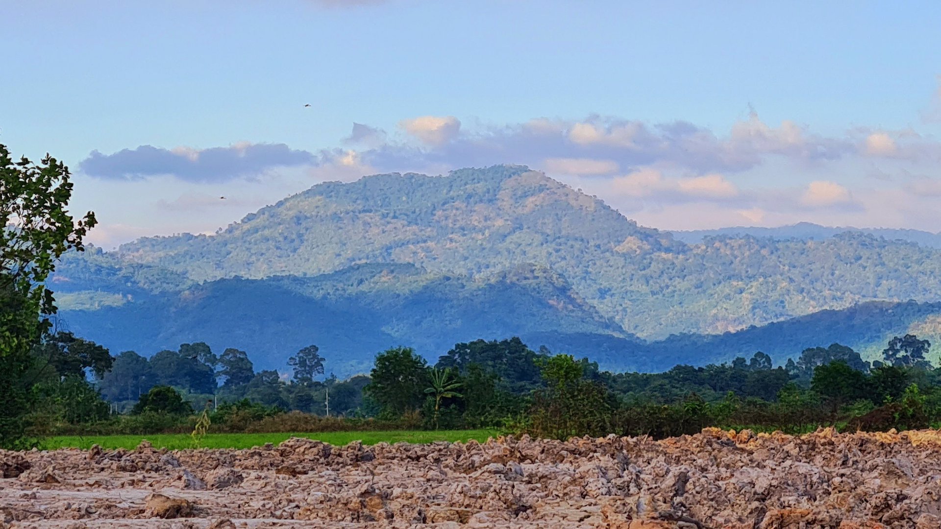 de'privacy-banphrao-เดอไพรเวซี่-บ้านพร้าว