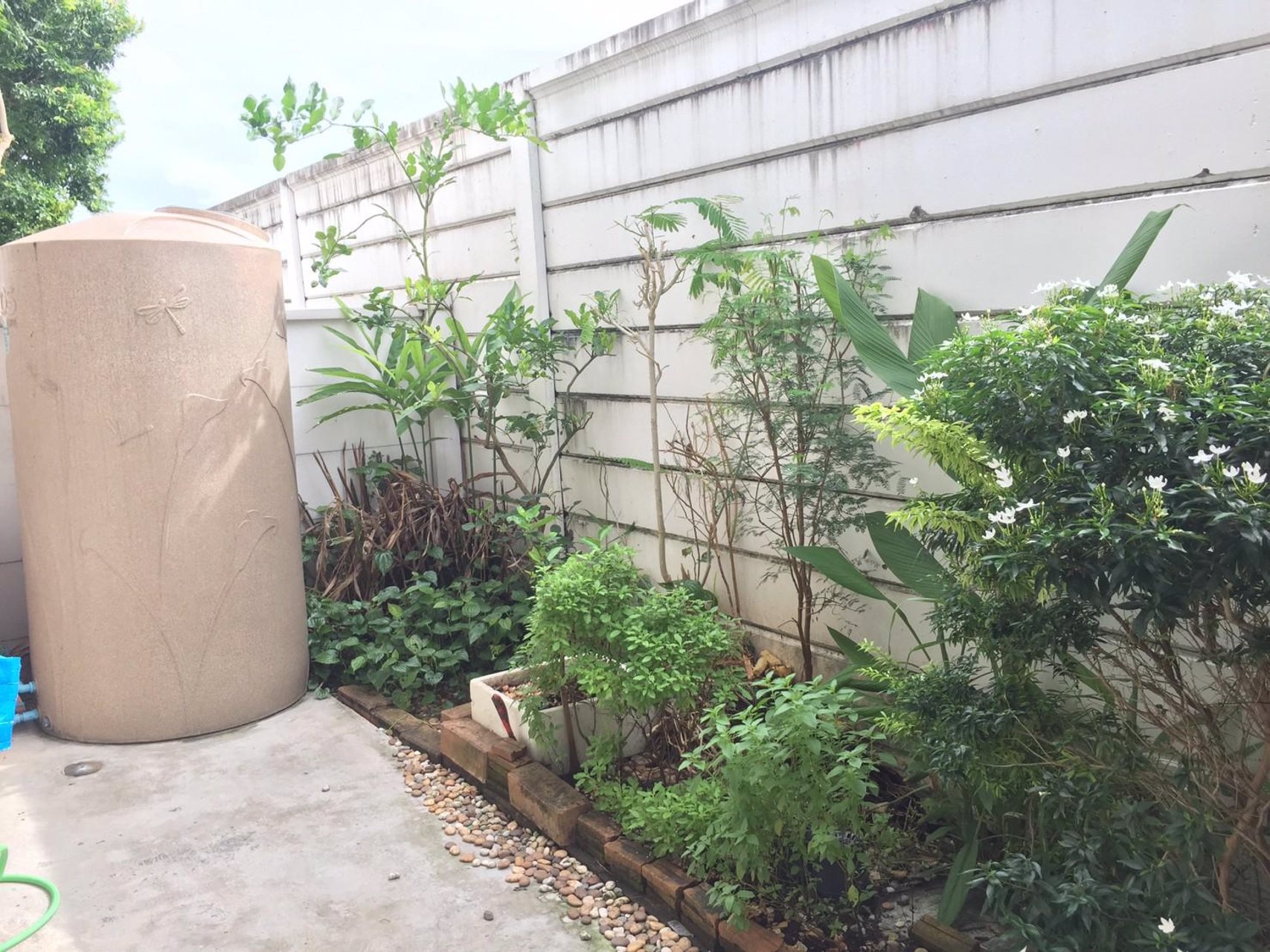 ขายด่วน-ทาวน์โฮม-2-ชั้น-มบพลีโน่-วงแหวน-รามอินทรา-ติดถนนใหญ่-6-เลน-ถเลียบคลองสอง-