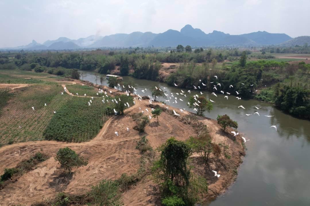 ที่ดินริมแม่น้ำทำเลทองหายาก-ติดแม่น้ำกว้างล้อมรอบที่ดิน-ฮวงจุ้ยเป็นเลิศ-ลักษณะเป็นท้องมังกร