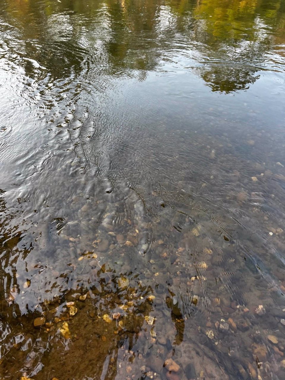 ที่ดินริมแม่น้ำทำเลทองหายาก-ติดแม่น้ำกว้างล้อมรอบที่ดิน-ฮวงจุ้ยเป็นเลิศ-ลักษณะเป็นท้องมังกร