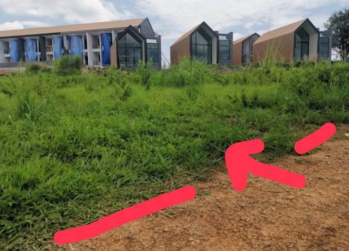 ขายที่ดินเขาค้อ-มีโฉนด-นส4-เหมาะทำบ้านพักตากอากาศหรือรีสอร์ท-อากาศเย็นทั้งปี