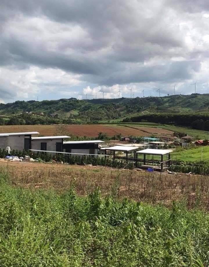 ขายที่ดินเขาค้อ-มีโฉนด-นส4-เหมาะทำบ้านพักตากอากาศหรือรีสอร์ท-อากาศเย็นทั้งปี