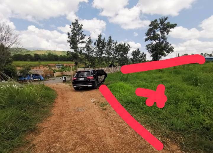 ขายที่ดินเขาค้อ-มีโฉนด-นส4-เหมาะทำบ้านพักตากอากาศหรือรีสอร์ท-อากาศเย็นทั้งปี