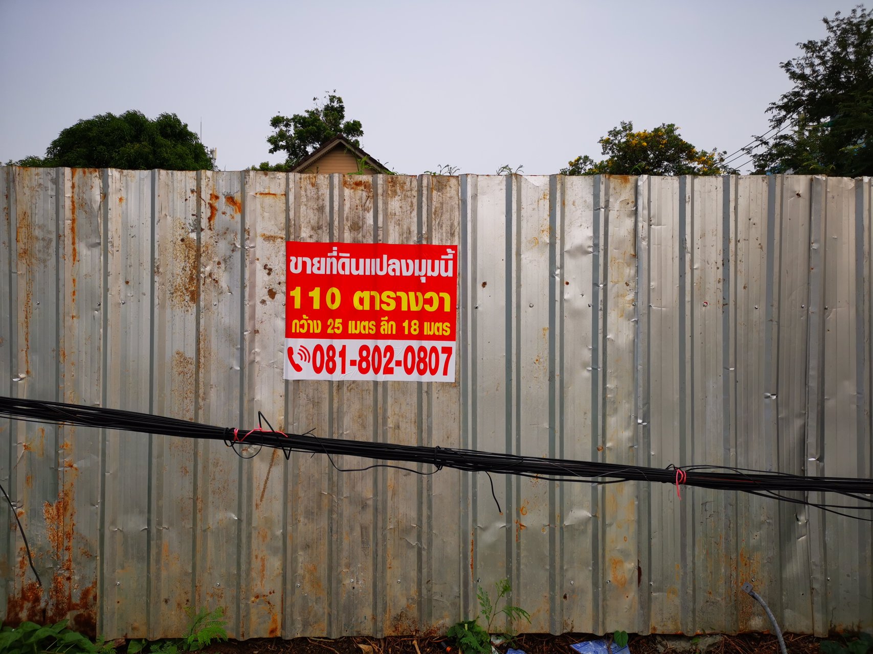 ขายที่ดิน-110-ตรว-ซรามอินทรา-8-แปลงมุม-ติดถนน-2-ด้าน