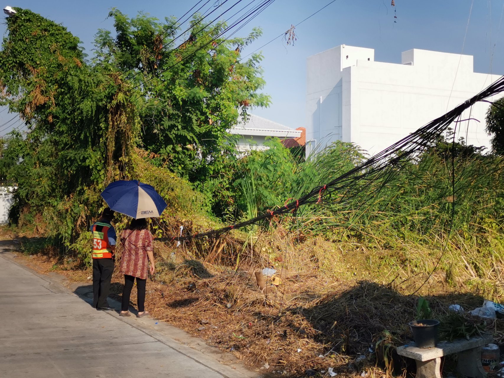 ขายที่ดิน-110-ตรว-ซรามอินทรา-8-แปลงมุม-ติดถนน-2-ด้าน