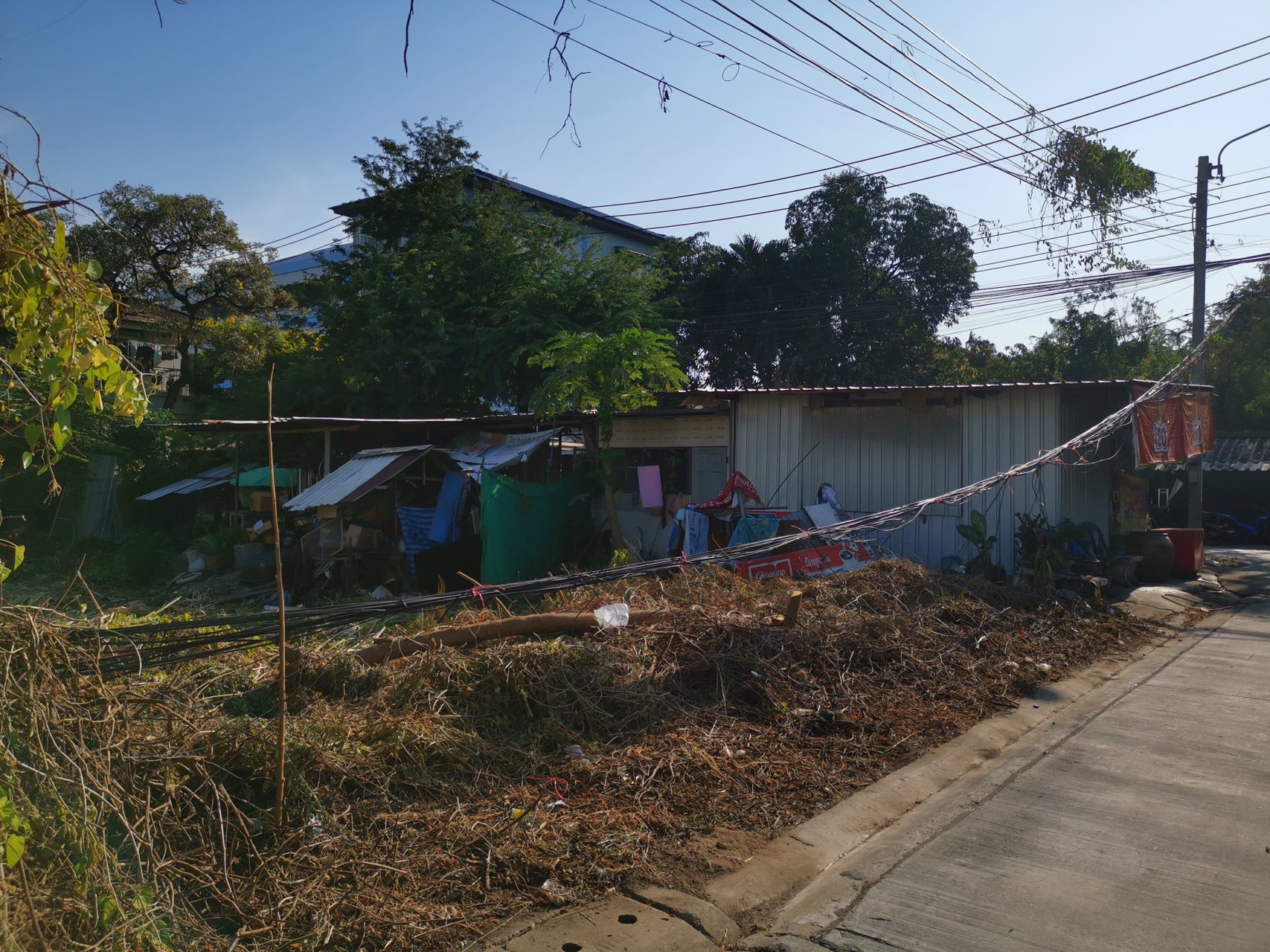 ขายที่ดิน-110-ตรว-ซรามอินทรา-8-แปลงมุม-ติดถนน-2-ด้าน