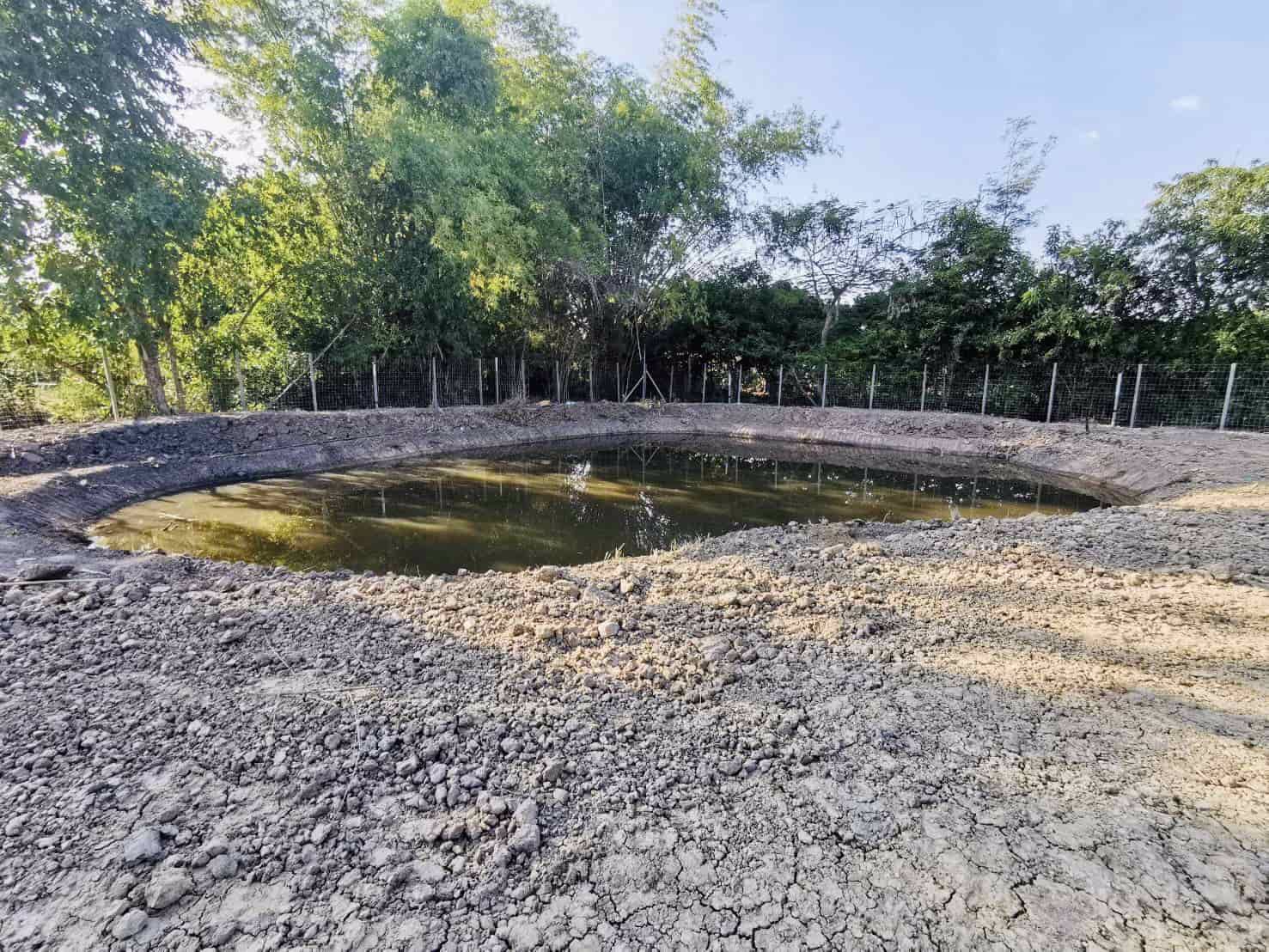 ขายบ้านไม้-1-หลัง-พร้อมที่ดิน-666-ตรว